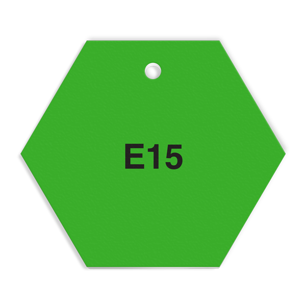FT140 CPPI E15 Fuel Identification Tag (2.56" Hexagon) 250 /pkg